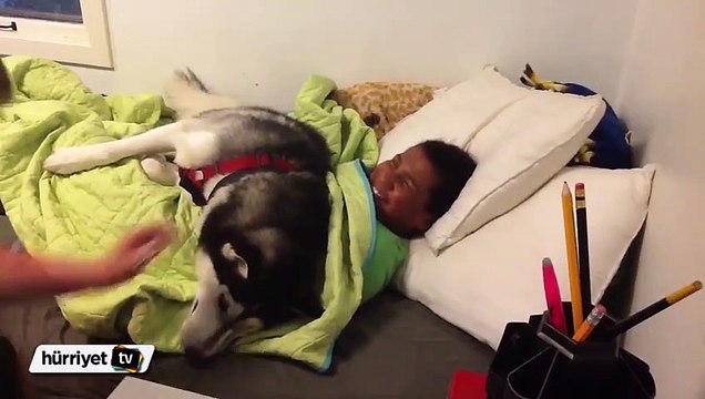 Oğlunu uyandırmak isteyen anneyi köpek engelledi