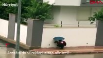 Antalya'da yürekleri ısıtan görüntü... Şemsiyesiyle sokak köpeğini yağmurdan korudu