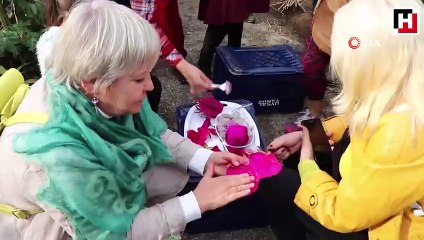 Pitaya bahçesi servet kazandırıyor