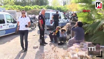 5 koyunu sünnette yemek için çaldılar, 'Et de mi yemeyelim' dediler