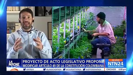 Reacciones sobre posible regulación de cannabis en Colombia
