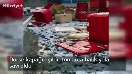 Dorse kapağı açıldı, tonlarca balık yola savruldu