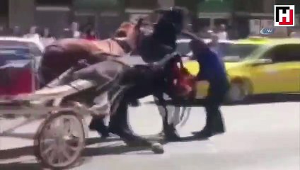 Faytona koşturulan at aşırı sıcaktan yere yığıldı... Vatandaşlar tepki gösterdi