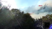 Antalya'da çıkan orman yangınları söndürüldü