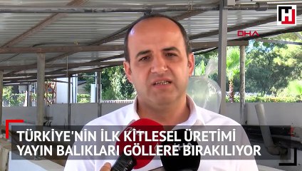 Türkiye'nin ilk kitlesel üretimi yayın balıkları göllere bırakılıyor