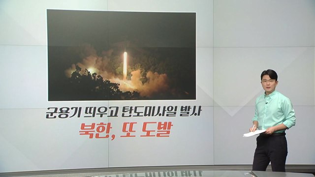 [뉴스라이더]국민의힘이 생각하는 북핵 대응 방안은?...민주 전술핵 재배치 반대 / YTN