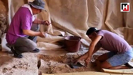 Antalya'da bulundu! 350 bin yıllık...