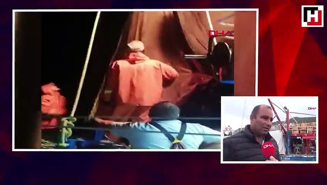Ağına yüzlerce balon balığı takılan balıkçı konuştu