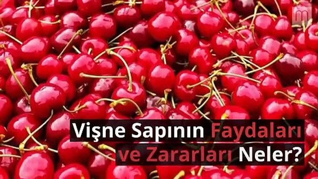 Vişne sapının faydaları ve zararları neler?