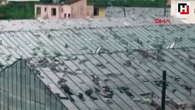 Antalya'da fırtına ve dolu tarım alanlarını vurdu