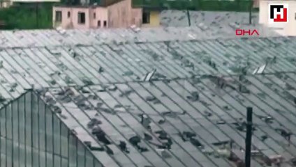 Antalya'da fırtına ve dolu tarım alanlarını vurdu