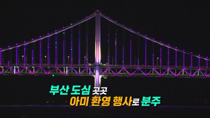[뉴스라이더] BTS 콘서트 D-1...보랏빛으로 물드는 '부산' / YTN