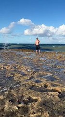 Big Wave Plows Over Man on Beach