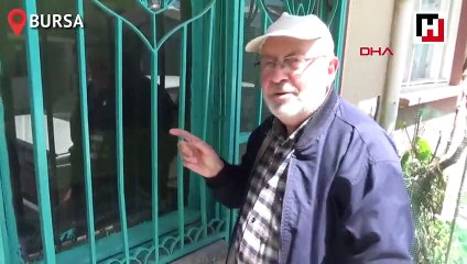 4 katlı apartmanın altındaki türbe görenleri şaşırtıyor