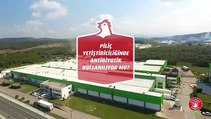 Antibiyotik Kullanılıyor mu?