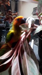 One way to create and find happiness