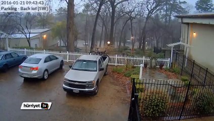 Ağaca yıldırım çarpma anı