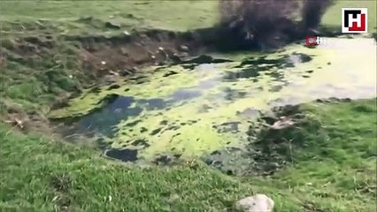 PKK'nın çukura gömdüğü araç iş makinesiyle çıkarıldı