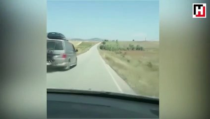 Pes dedirten görüntü