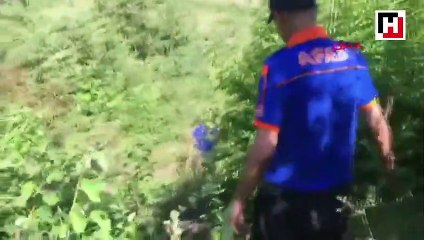 Cesedi bulunan yaşlı adamın vücut parçaları aranıyor