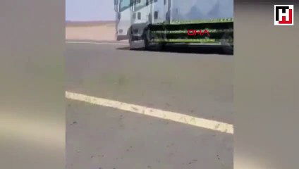 Son 40 yılın en büyük çekirge istilası