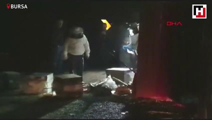 Binlerce arı ilçede paniğe yol açtı