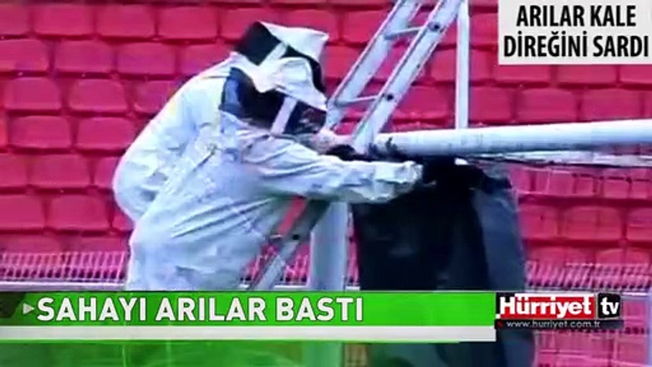 SAHAYI ARILAR BASTI