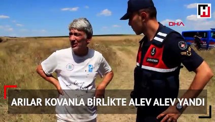 Tekirdağ’da arılar kovanla birlikte alev alev yandı