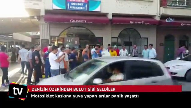 Motosiklet kaskına yuva yapan arılar panik yaşattı