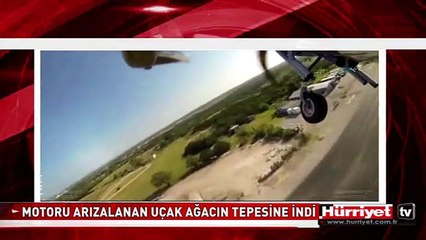 MOTORU ARIZALANAN UÇAK AĞACIN TEPESİNE İNDİ