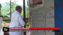 Arıcılık yapan Rizeli ayılar için gözetleme kulesi yaptı