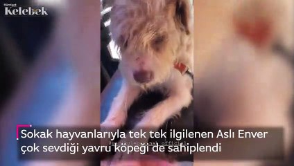 Aslı Enver: Satın alma sahiplen