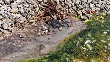 Denizli'de termal su asfaltı deldi