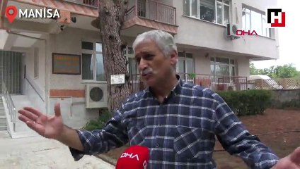 3 asırlık ağacın kolları balkondan geçiyor