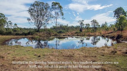 Castell Park, Buaraba, Qld - October 14, 2022 - Farmonline