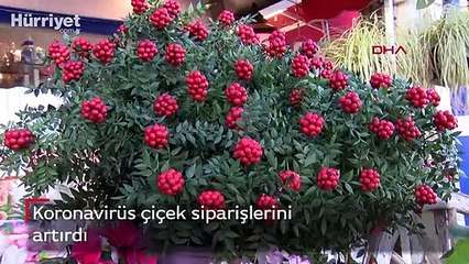 Koronavirüs çiçek siparişlerini arttırdı
