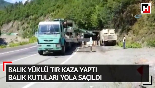 Balık yüklü tır kaza yaptı balık kutuları yola saçıldı