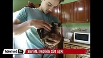 Sevimli kedi bebek gibi biberondan süt içti