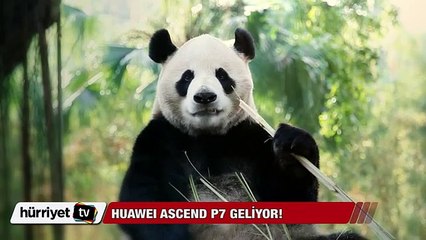 Huawei Ascend P7 geliyor!