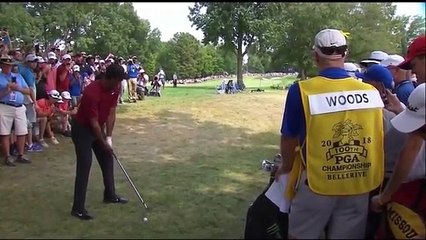 Tiger Somehow Making Pars Look Fun