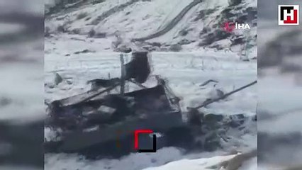 Aç kalan ayı askeri üsse girdi