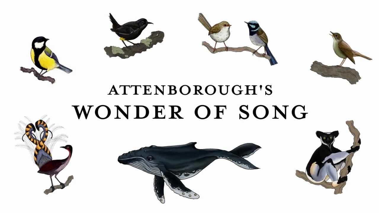 Sir Attenborough's - Wonder of Song - HD 1080p 2022