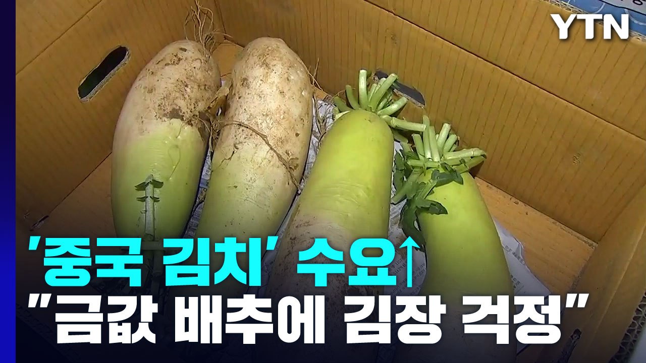 "싼 김치 없나요?"...배춧값 폭등에 중국산 김치 '인기' / YTN