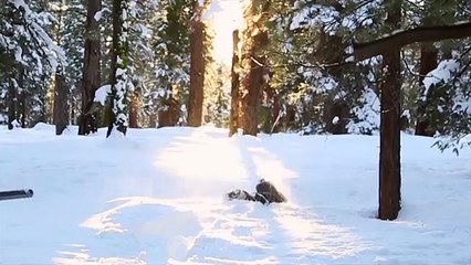 TED Talk - The Super Mario Effect - Tricking Your Brain into Learning More