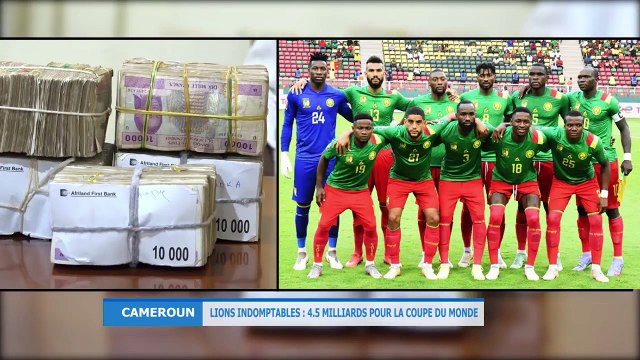 Qatar 2022 : le Président Paul Biya désavoue la Fécafoot