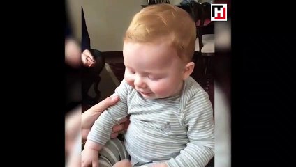 Aslan bebek gülme krizine girdi!
