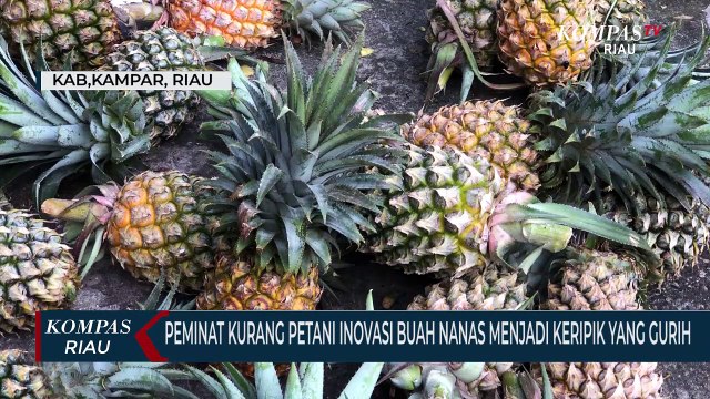 Petani Inovasi Buah Nanas Menjadi Keripik Yang Gurih
