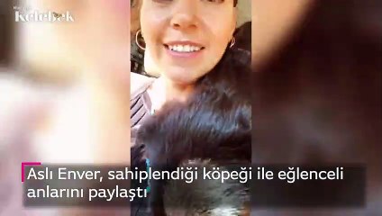 Aslı Enver'in sahiplendiği köpeği ile eğlenceli anları