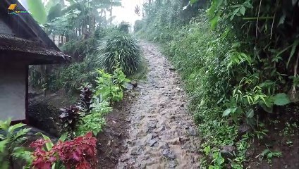 Relaxing Village Atmosphere 3