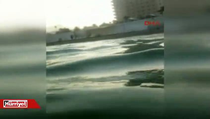 Antalya sahillerinde zehirli balık alarmı